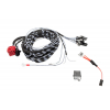 Set cavi Gancio traino - Central electric - VW Tiguan 5N