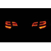 Fari LED posteriori Facelift - Retrofit kit - Audi A3 8PA Sportback