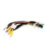 RVC interface BMW BM-906 - CCC system E-Series