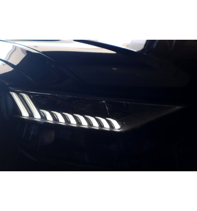 Set fari anteriori LED Matrix con luce diurna LED - Audi Q8 4M