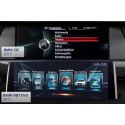 VIM Video in motion per BMW, Mini CIC iDrive NBT EVO Professional F/G-Series ID7 - OBD