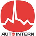 08.01.01 Diagnostica - Auto Intern VCDS