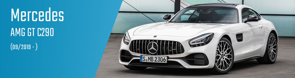 AMG GT C290 (09/2019 - )