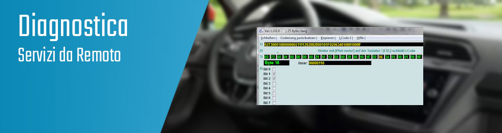 08.01.03 Diagnostica - Servizi da remoto